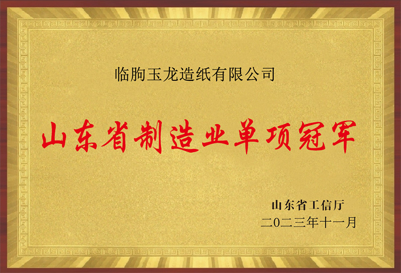 山東省制造業(yè)單項(xiàng)冠軍（臨朐玉龍?jiān)旒堄邢薰荆?></div><div   id=